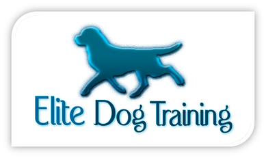 Waltham Abbey dog trainer elite dog training